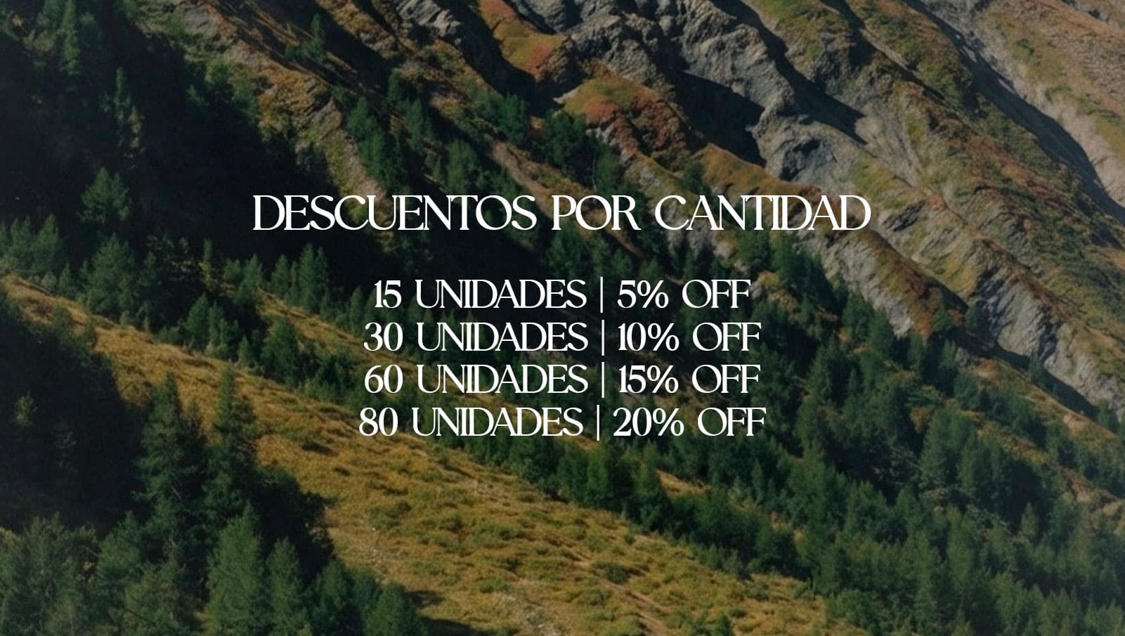 MAYORISTA DESCUENTOS